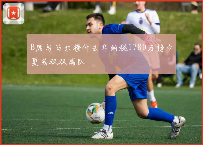 B席与马尔穆什去年纳税1780万镑今夏或双双离队