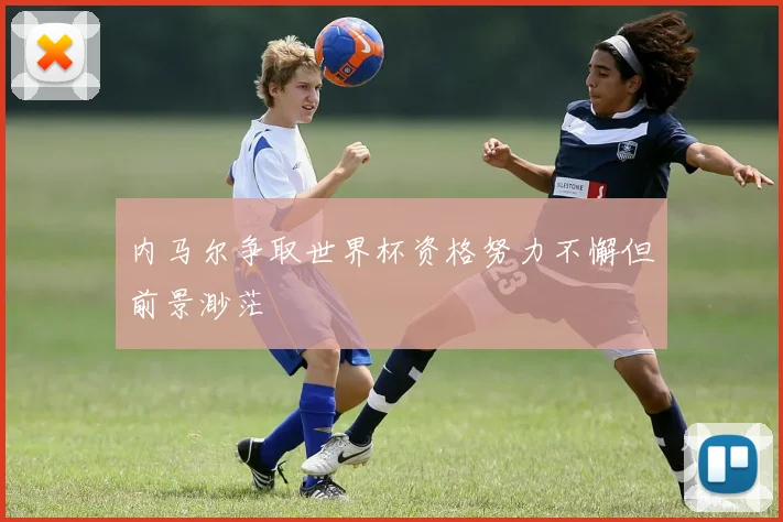 内马尔争取世界杯资格努力不懈但前景渺茫