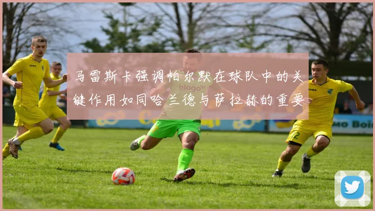 马雷斯卡强调帕尔默在球队中的关键作用如同哈兰德与萨拉赫的重要性