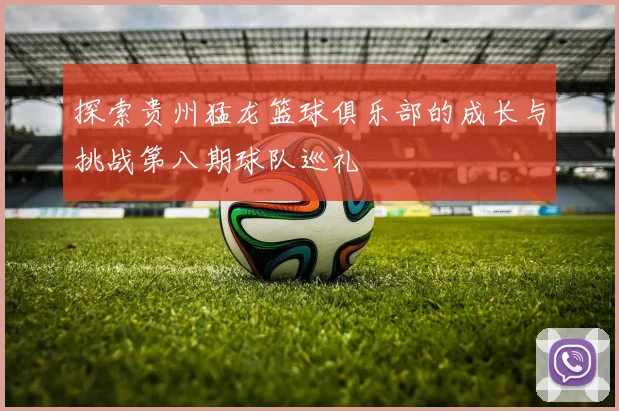 探索贵州猛龙篮球俱乐部的成长与挑战第八期球队巡礼