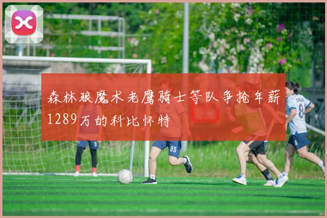 森林狼魔术老鹰骑士等队争抢年薪1289万的科比怀特