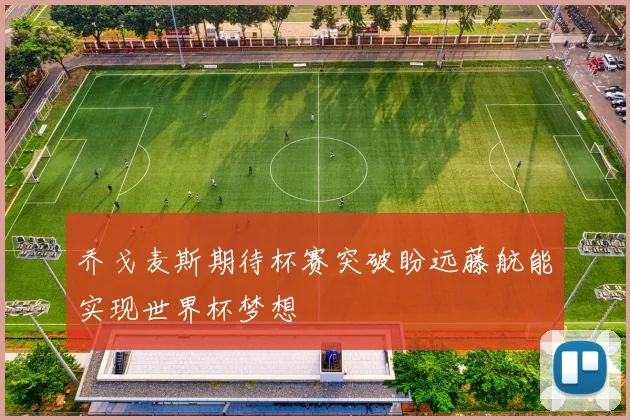 乔戈麦斯期待杯赛突破盼远藤航能实现世界杯梦想