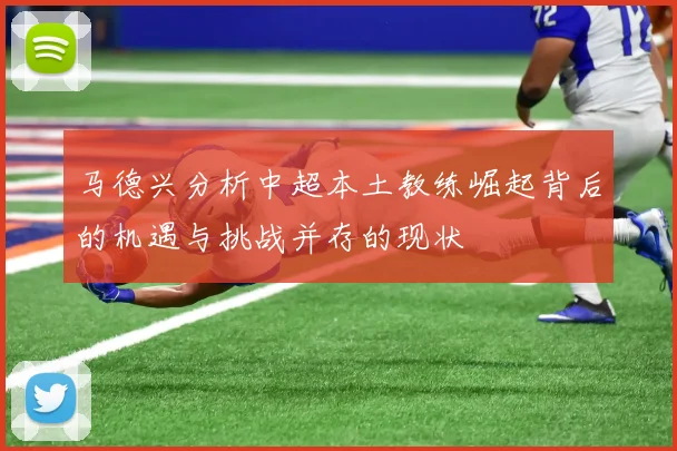 马德兴分析中超本土教练崛起背后的机遇与挑战并存的现状
