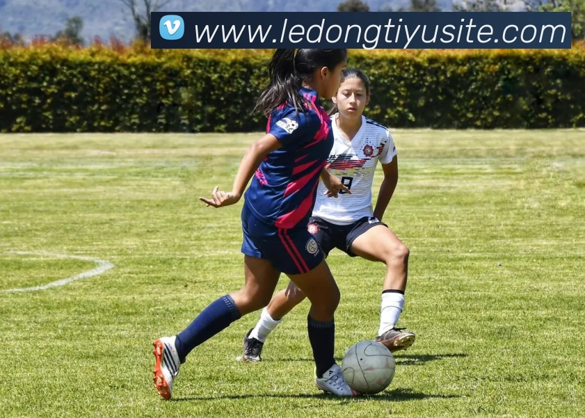 探索贵州猛龙篮球俱乐部的成长与挑战第八期球队巡礼