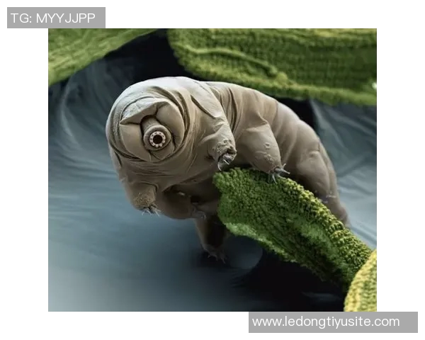 维金斯期待亲历多样物种之地探索宇宙奥秘与生命的奇迹 维金斯期待亲历多样物种之地探索宇宙奥秘与生命的奇迹